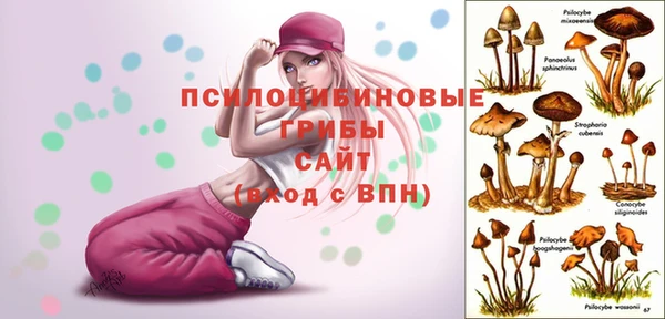 MDMA Premium VHQ Инта