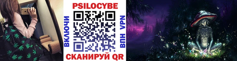 Псилоцибиновые грибы Psilocybe  Купить где  Нытва 